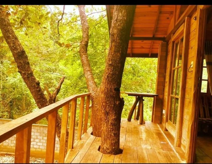 Luxury Tree House Βίλα Kibissa Εξωτερικό φωτογραφία