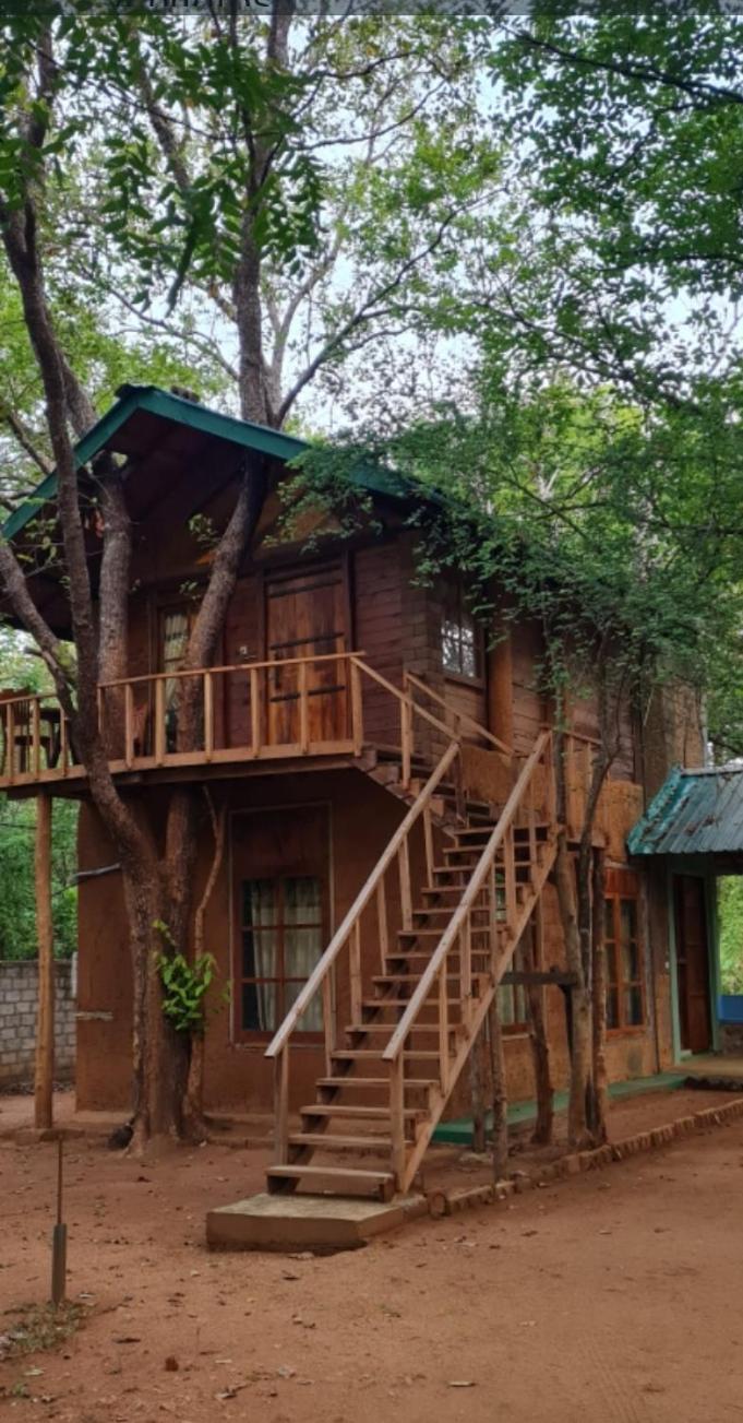 Luxury Tree House Βίλα Kibissa Εξωτερικό φωτογραφία