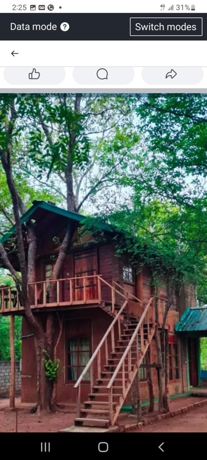 Luxury Tree House Βίλα Kibissa Εξωτερικό φωτογραφία